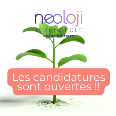 Candidatures promo 1 2024