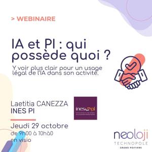 PI et IA qui possède quoi ?
